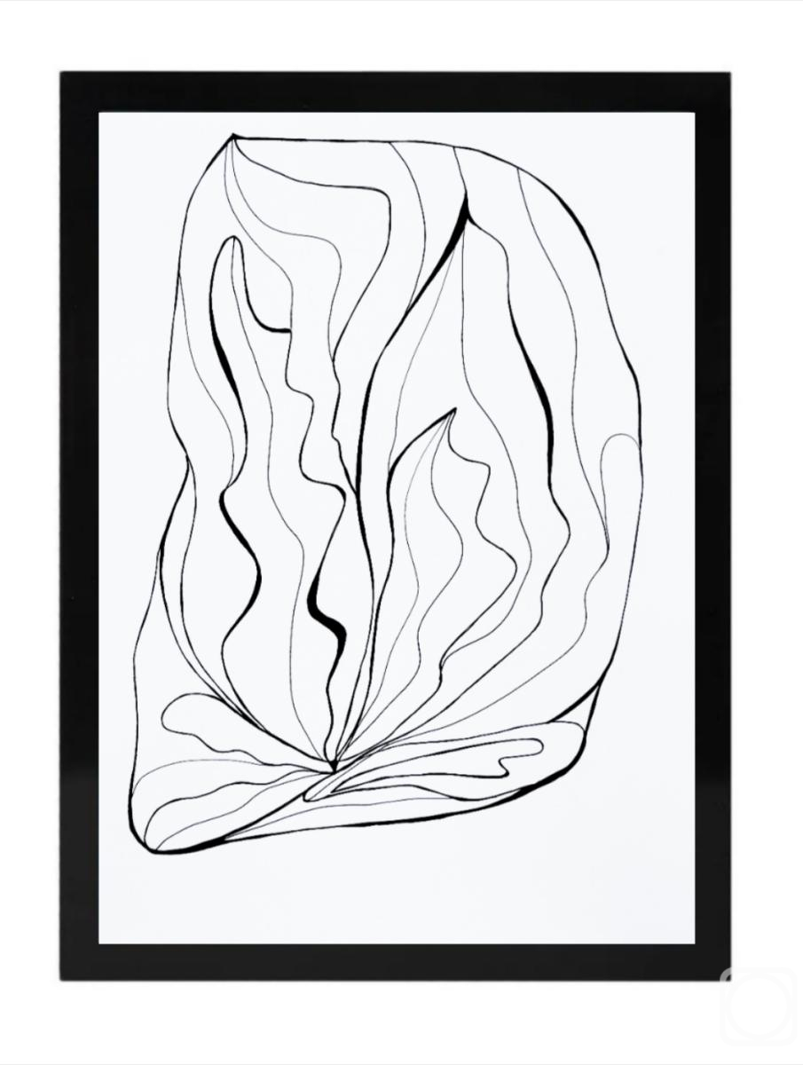 �������. �������� �����. ����� ������ ������� (������ �����)