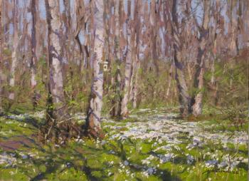 ������� ����������� ��������� ������� ������