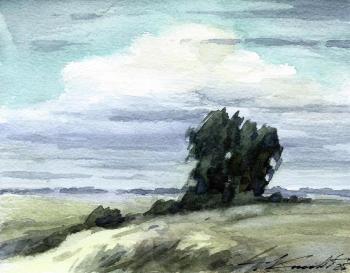 ������� �������