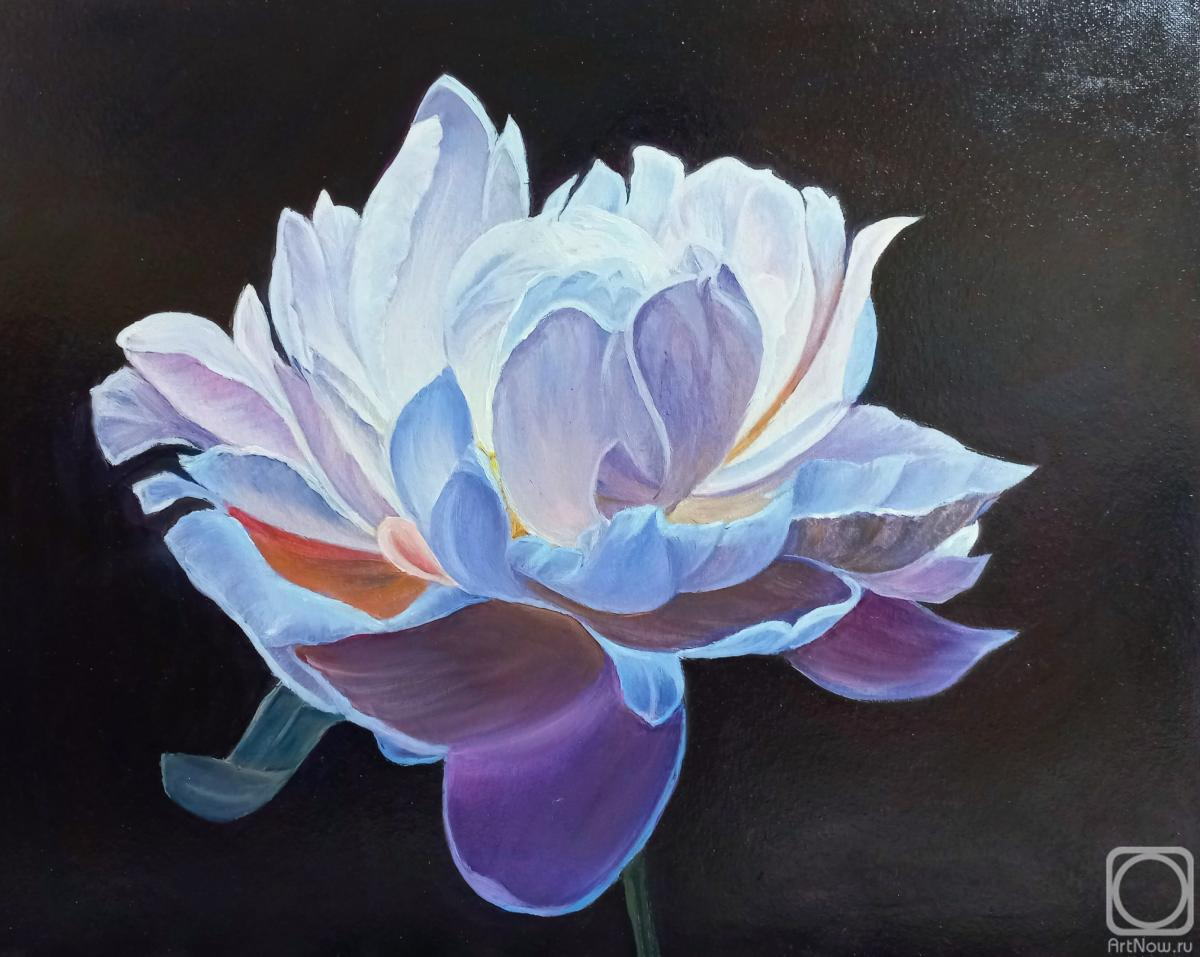 ������� ������ �� ������. ������� �����. ���������� ����