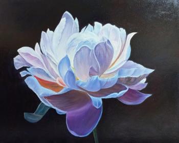 ���������� ����. ������� �����