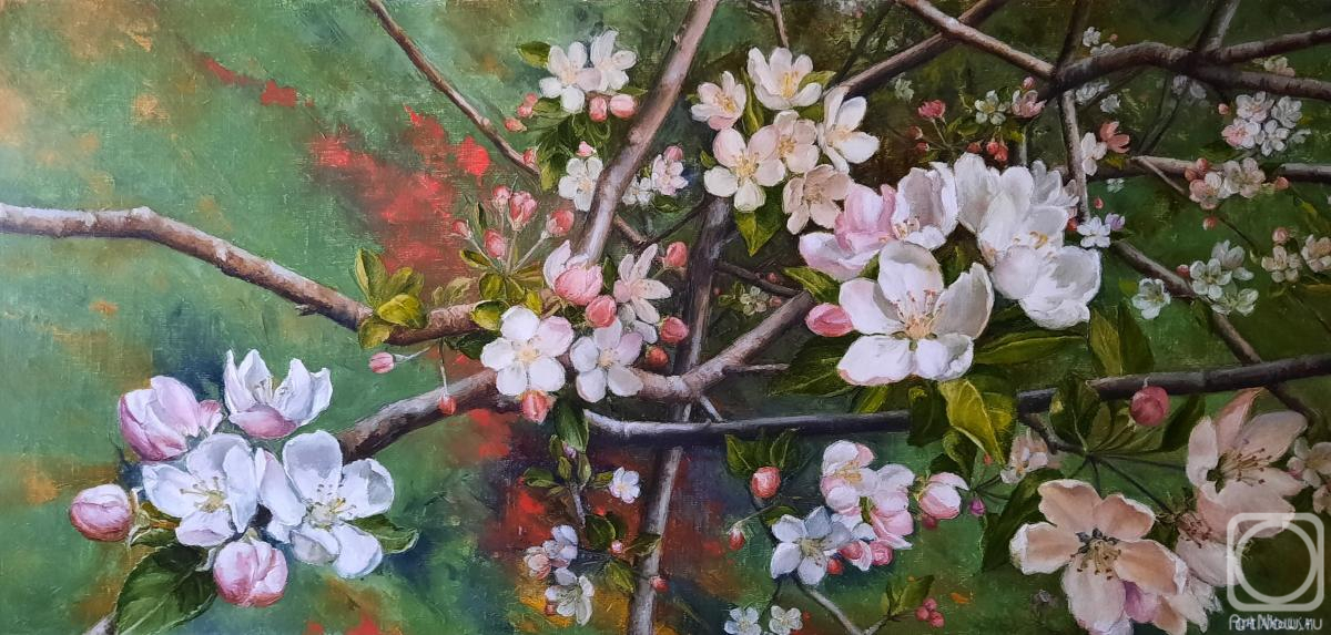 ������� ������ �� ������. ��������� ����. ��������� ����