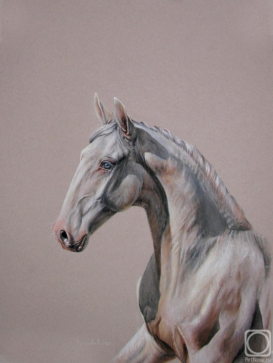 �������. ��������� ���������. ������� ���������� ������