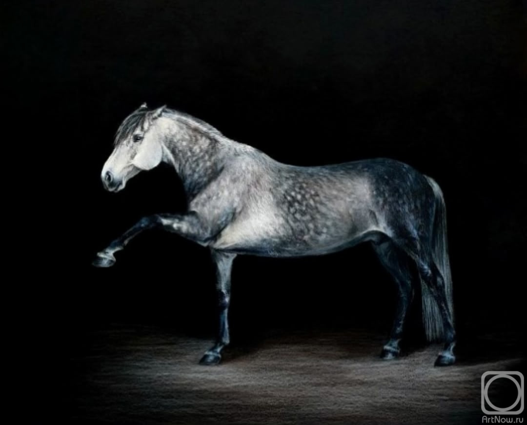 �������. ��������� ���������. ������� ������ ����