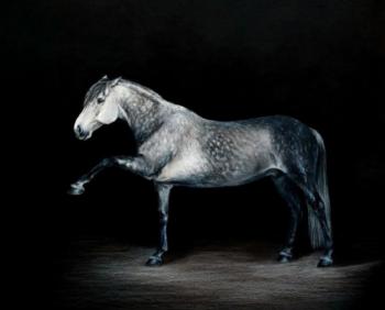 ������� �������� ������ �����