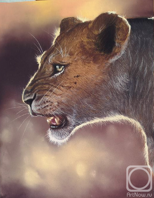 �������. ��������� ���������. ������� ������