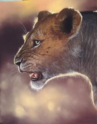 ������� �������� �������