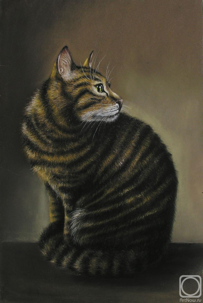 �������. ��������� ���������. ������� �����