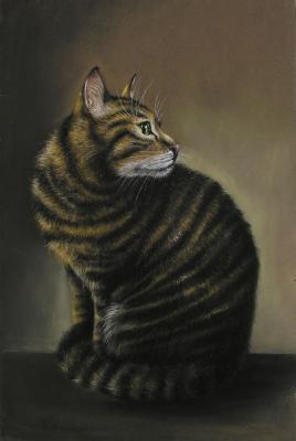 ������� �������� �����