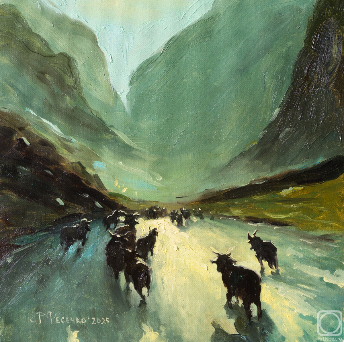 ������� ������ �� ������. ������� �������. ����� �����. ��������