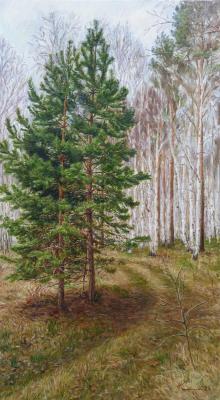 ������� ������� �������