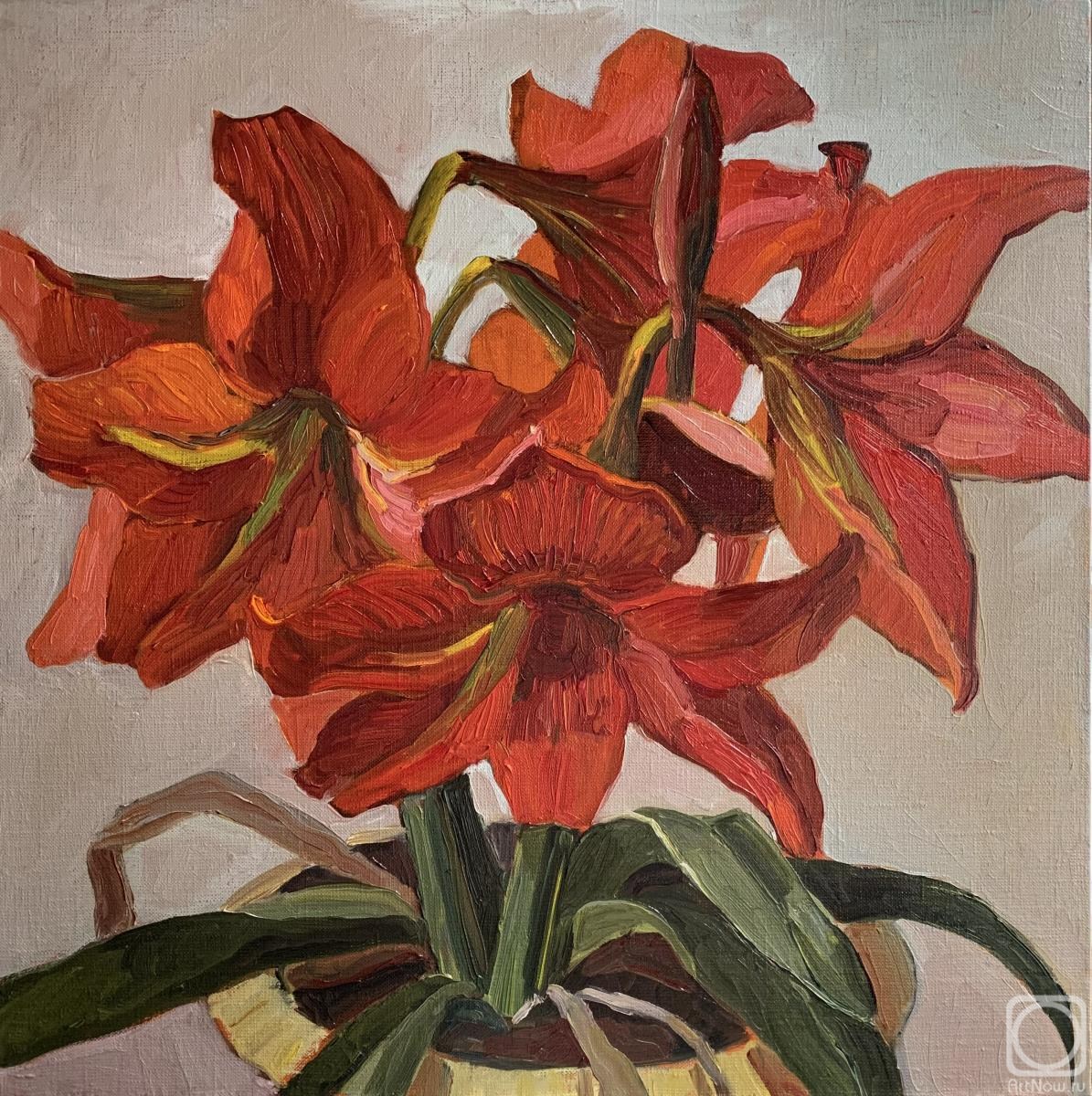 Ovchinini Lyutcia. Untitled