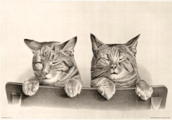 ��� ����. ��������� ������