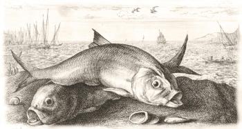 ������� ���� ���� �� ������