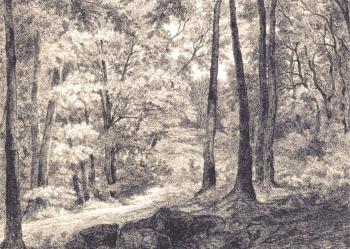 ������ ������. ��������� ������