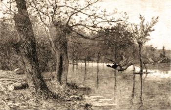 ������. ��������� ������