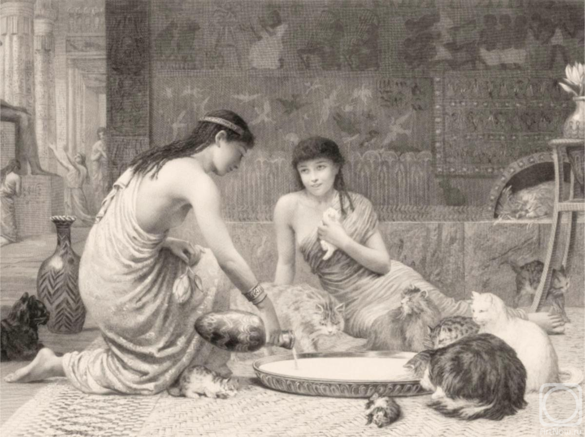 ��������� ������. ���������� ������ ����