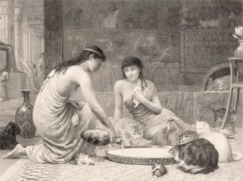 ���������� ������ ����. ��������� ������