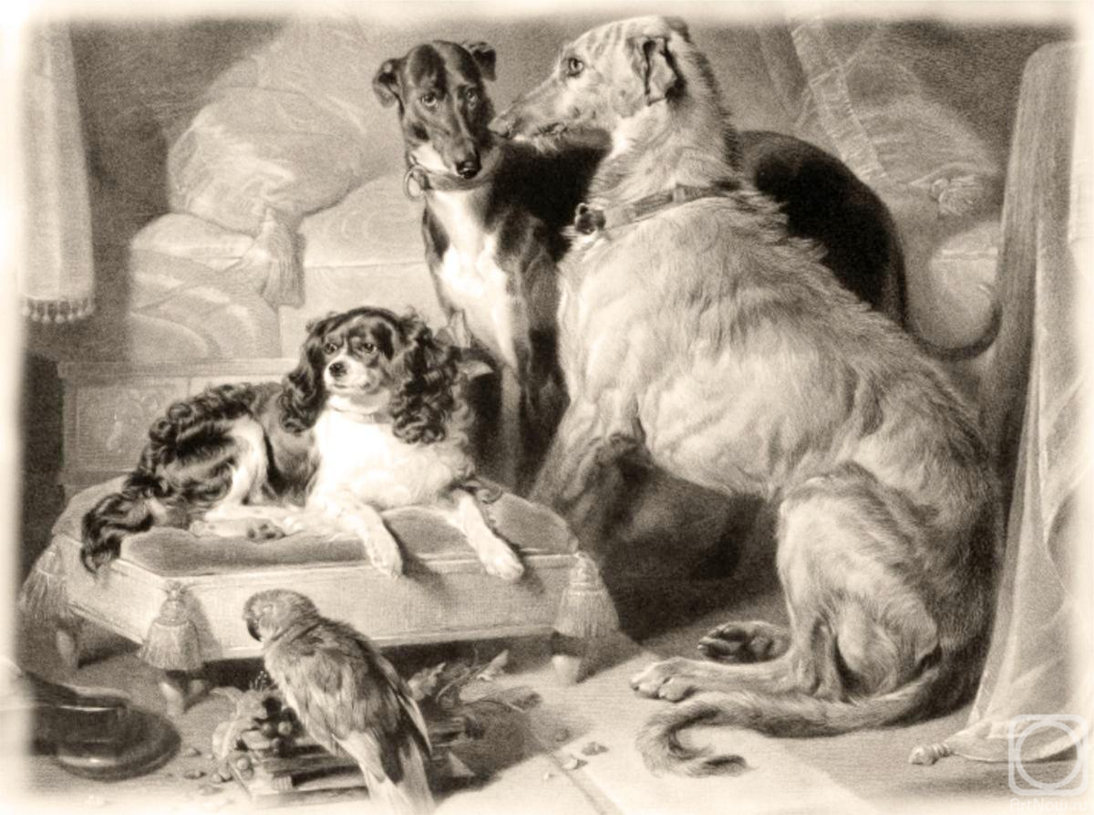 ��������� ������. ���, ������, ������ � ����