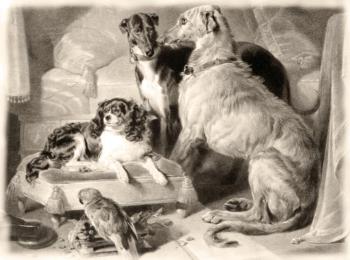 ���, ������, ������ � ����. ��������� ������