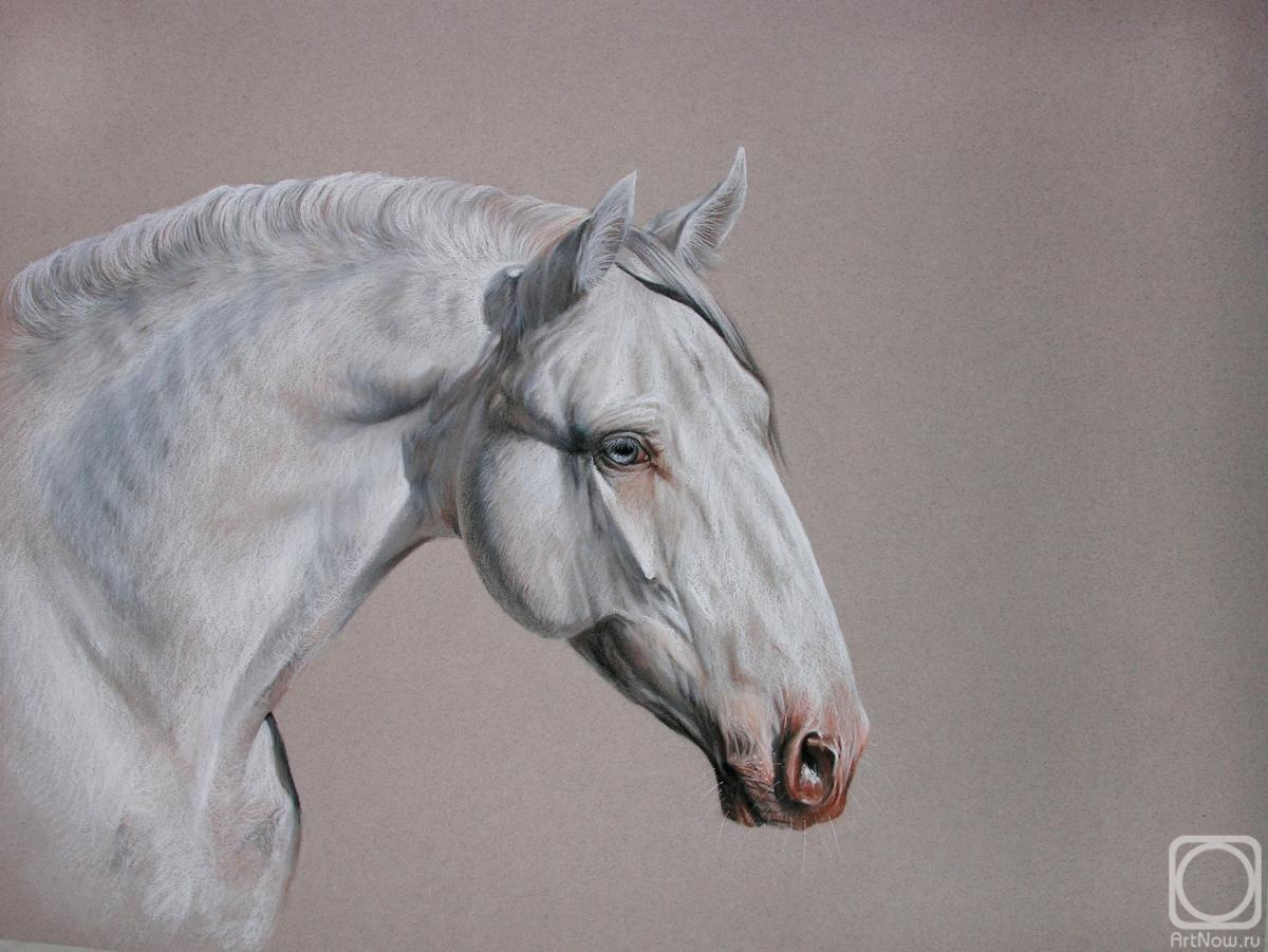 �������. ��������� ���������. ���������