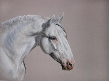 ������� ����������