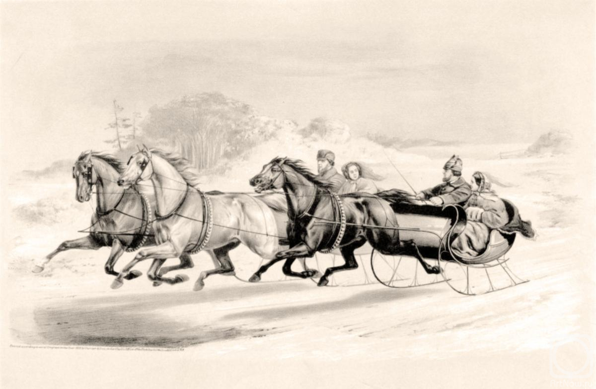 Kolotikhin Mikhail. The sleigh race
