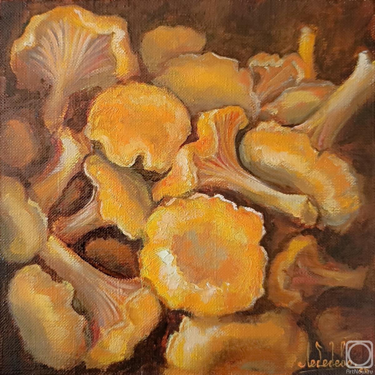 ������� ������ �� ������. �������� ����. ���� ����