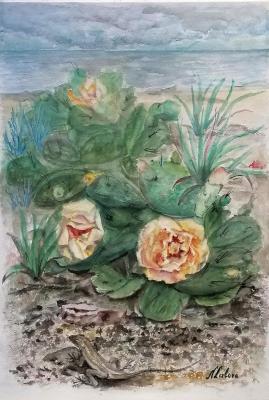 ������� ������� � �������� � ��������