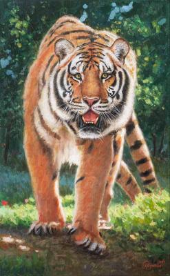 ��� ������� ������. �������� �����