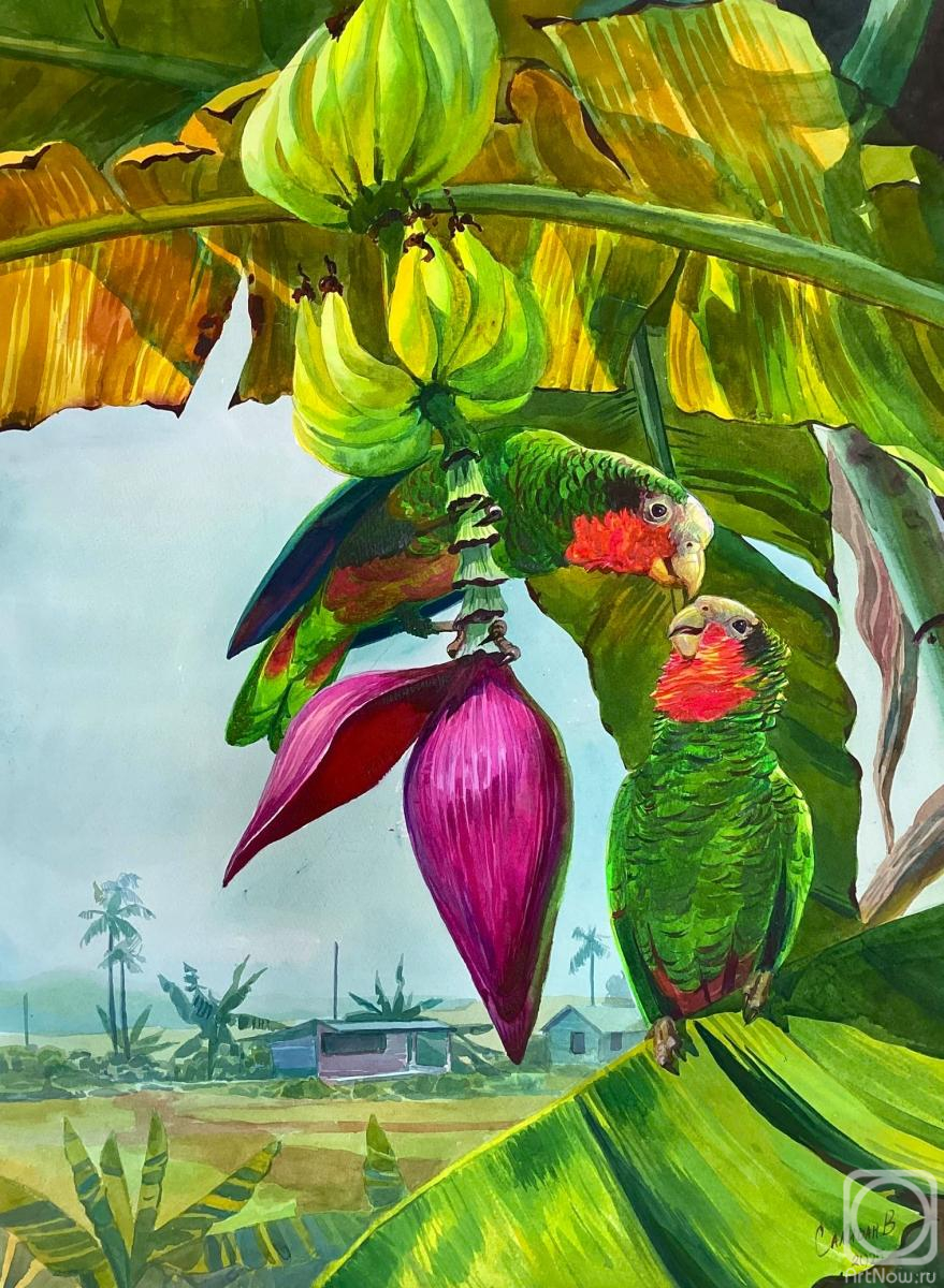 �������. ������� �������. ����������� ��������