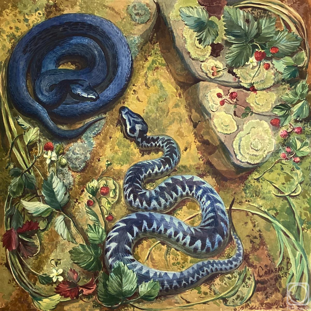 �������. ������� �������. ��������