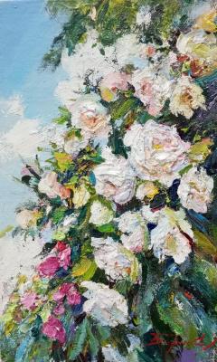 ���� ���������. �������� �������