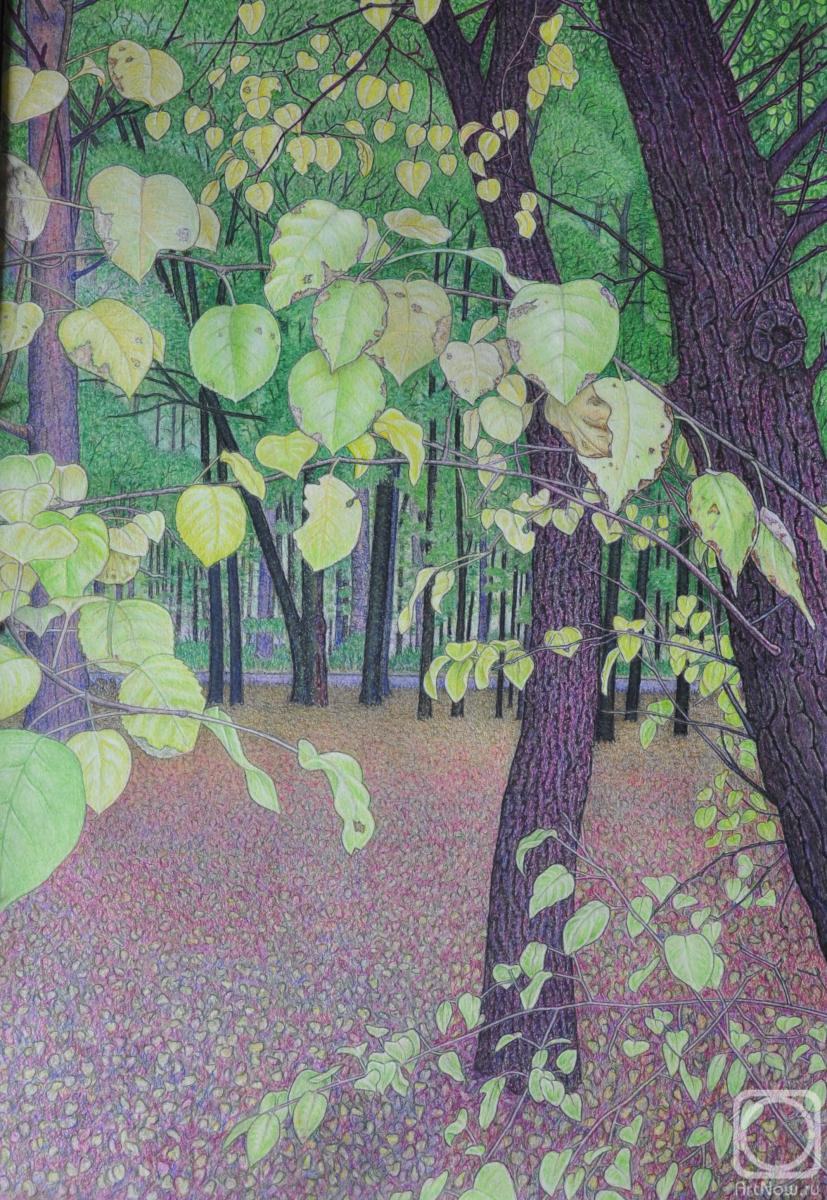 Hrapinskiy Vladimir. Untitled