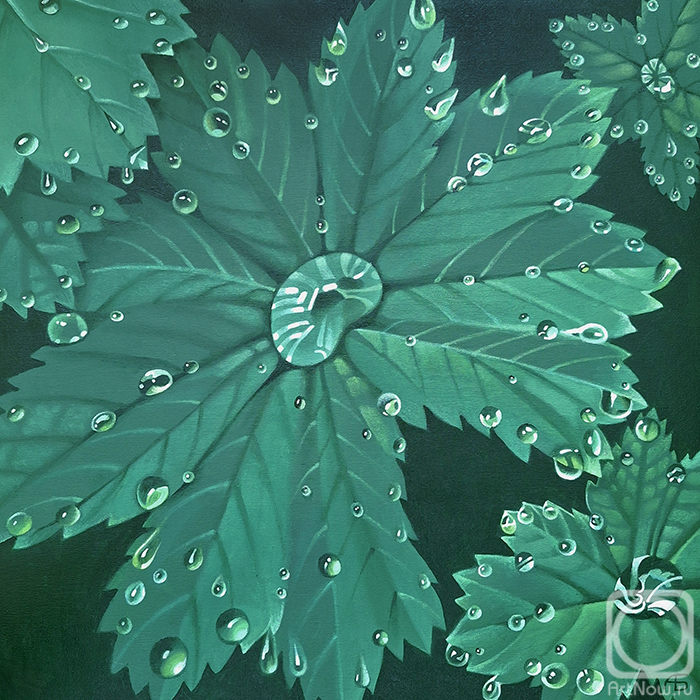 ������� ������ �� ������. ������ ���. ������������� ����