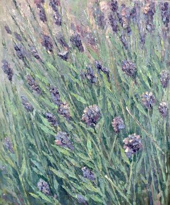 Lavender. Smirnova Nataliya