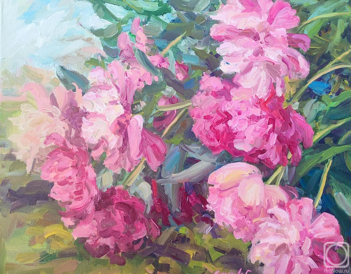 ������� ������ �� ������. �������� ������. �����