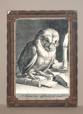 An owl sitting on the income book. Kolotikhin Mikhail