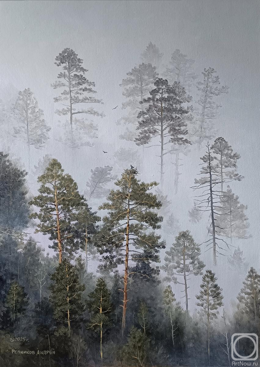 ������� ������ �� ������. �������� ������. ���� � �����