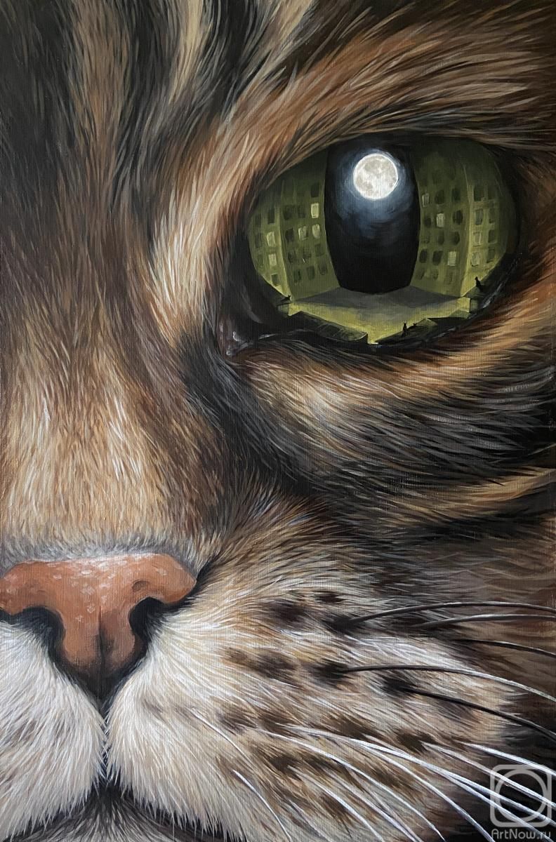 �������. ����������� �������. � ������ 1