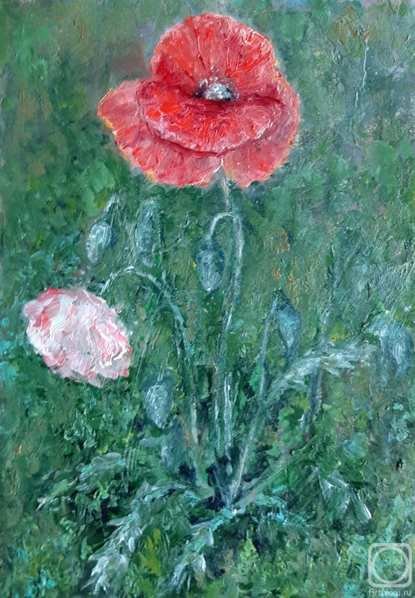 �������. ������ ��������. ����