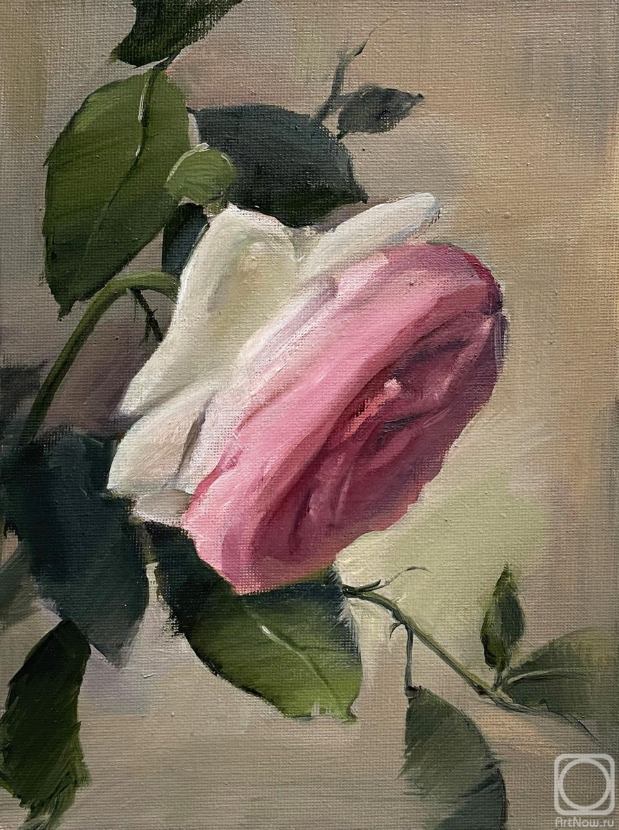 �������. ������ �������. ����, ����������� ����