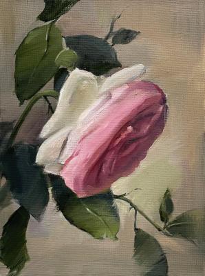 ����, ����������� ����