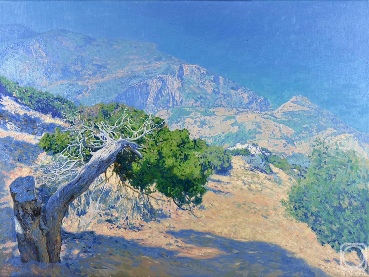 Kozhin Simon. Babadag