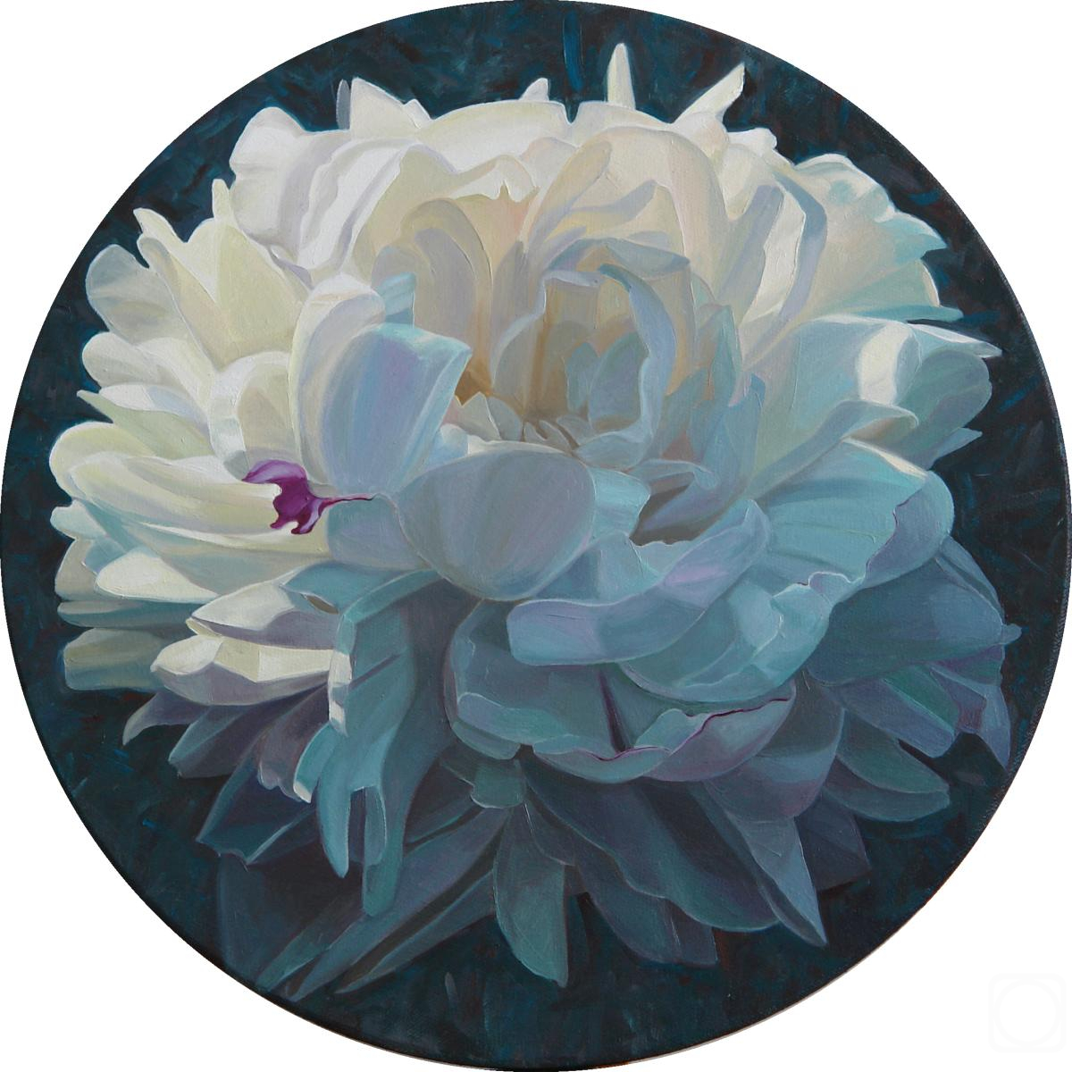 Vestnikova Ekaterina. Untitled