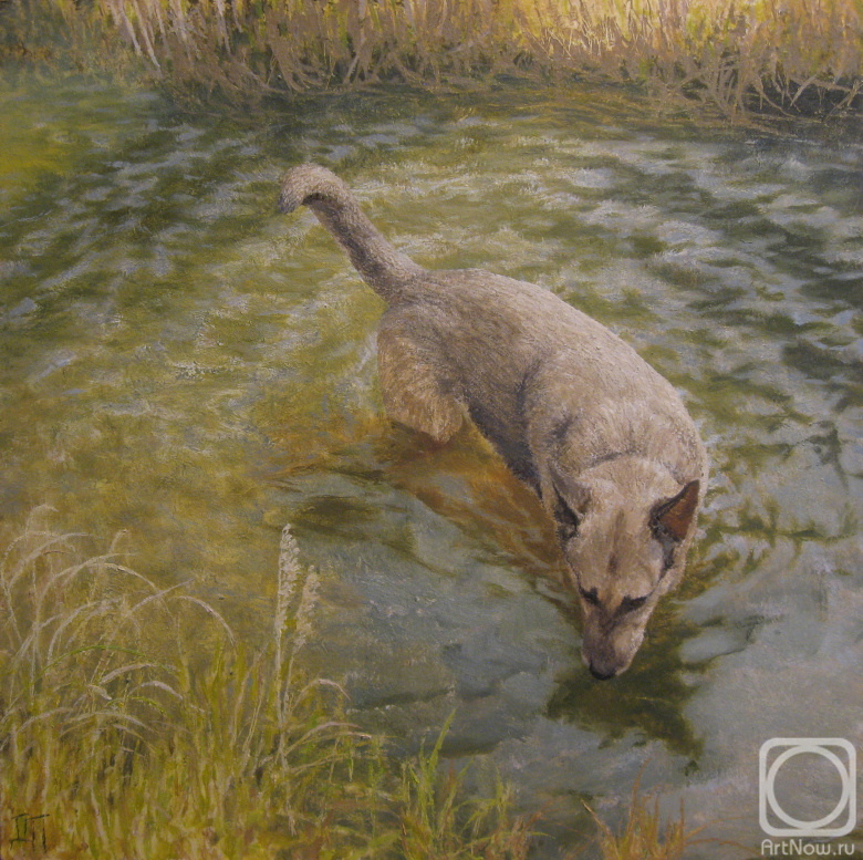 �������. ������� �������. �� � ��� ��� ��� ���� ����?!