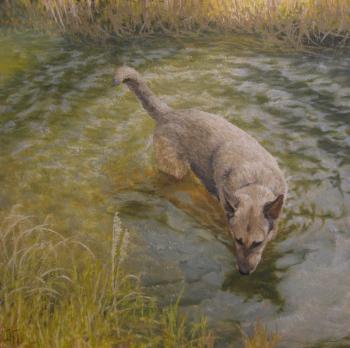 ������� ��� � ��� ��� ��� ���� ����?!�