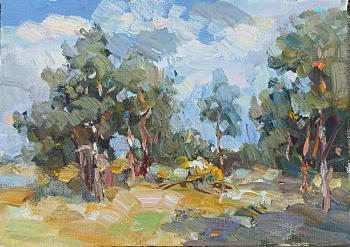 ������� �������