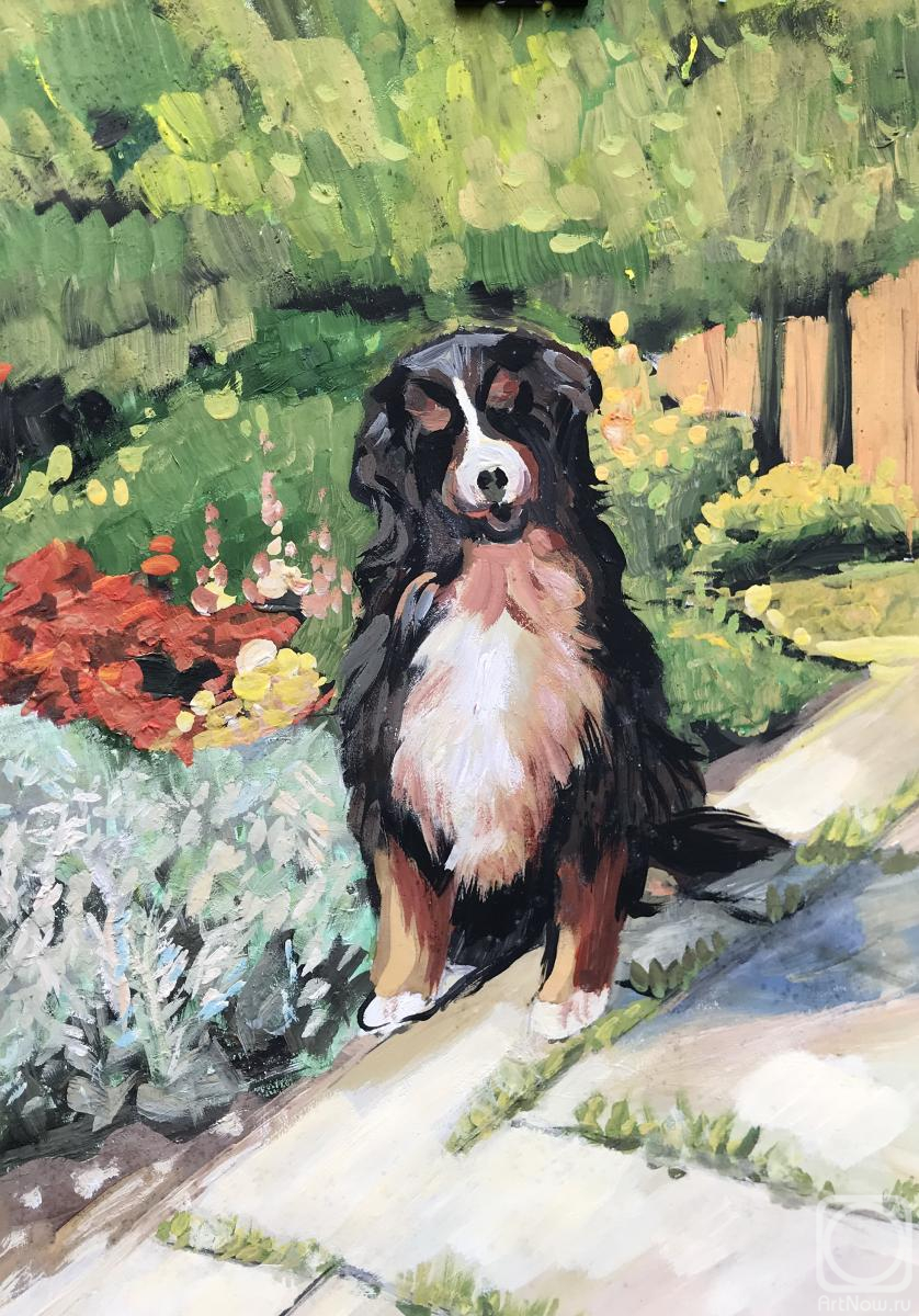 �������. ������ ����. ������ ���