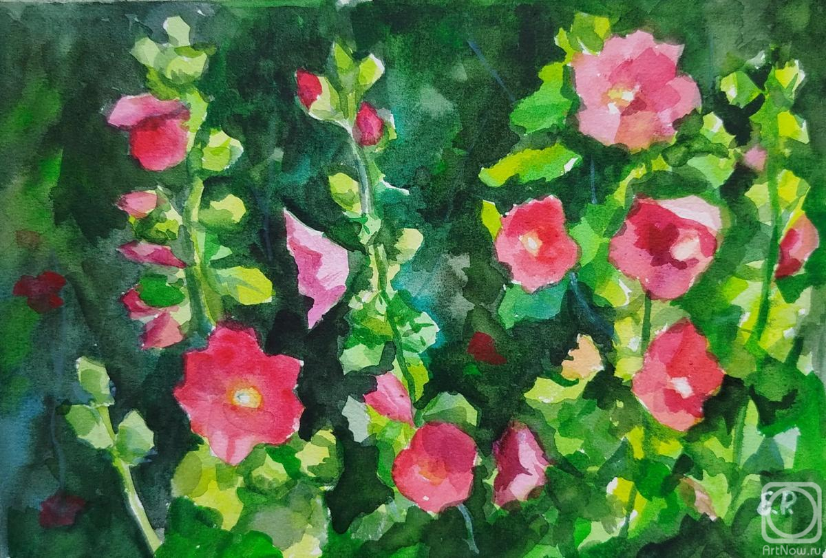 Ripa Elena. Untitled